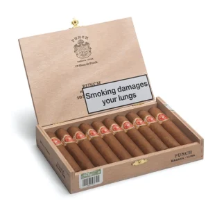 Punch Short de Punch Cigar